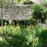 Jardin Ernest Renan, vue sur la Maison Ernest Renan, et le bâtie environnant.