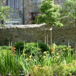 Jardin Ernest Renan, filtre d’Iris et parterre de vivaces