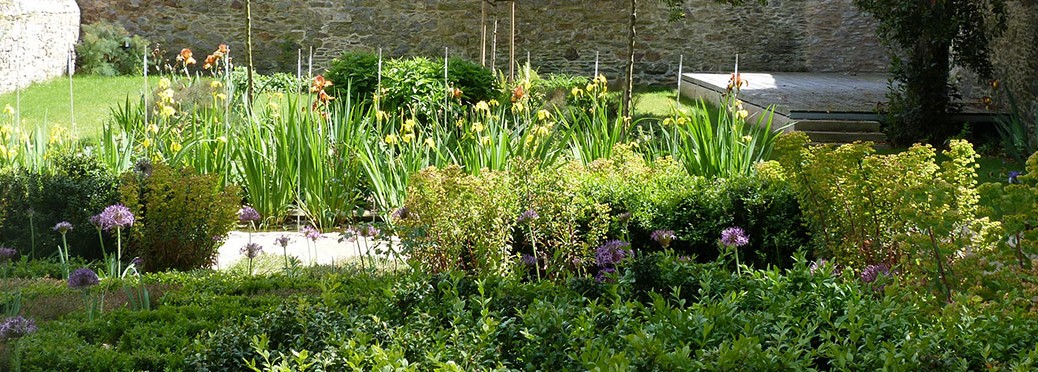 Jardin Ernest Renan, un filtre d’Iris au cœur du Jardin.