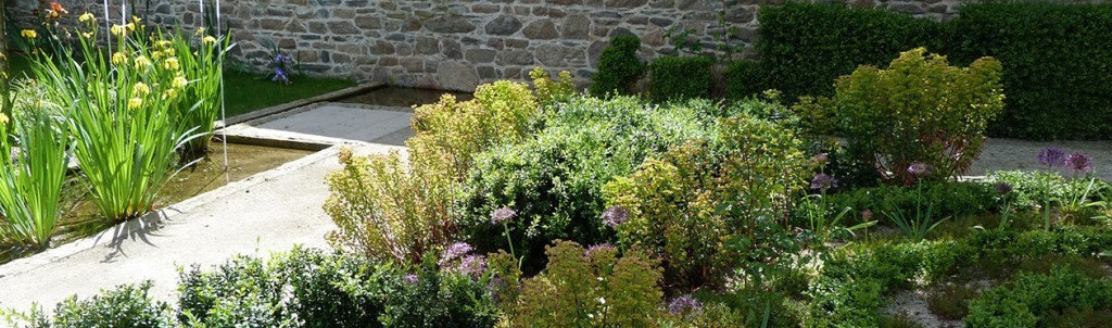 Jardin Ernest Renan, parterre de buis, Euphorbia x martinii, Allium christophi.