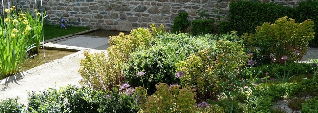 Jardin Ernest Renan, parterre de buis, Euphorbia x martinii, Allium christophi.