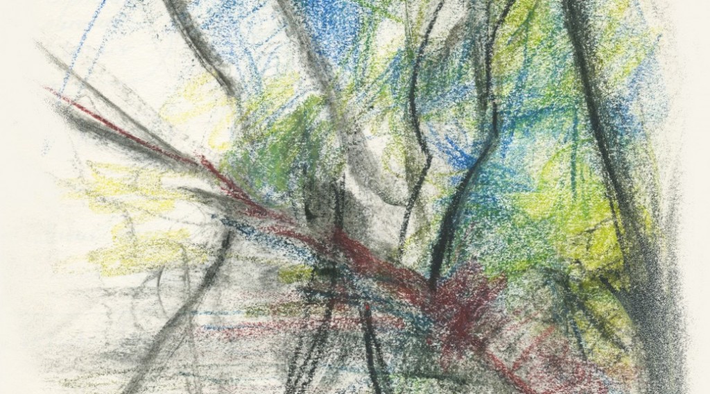 Fond Arbres sur berges 1- Moulin de Chaves, Dordogne printemps 2014