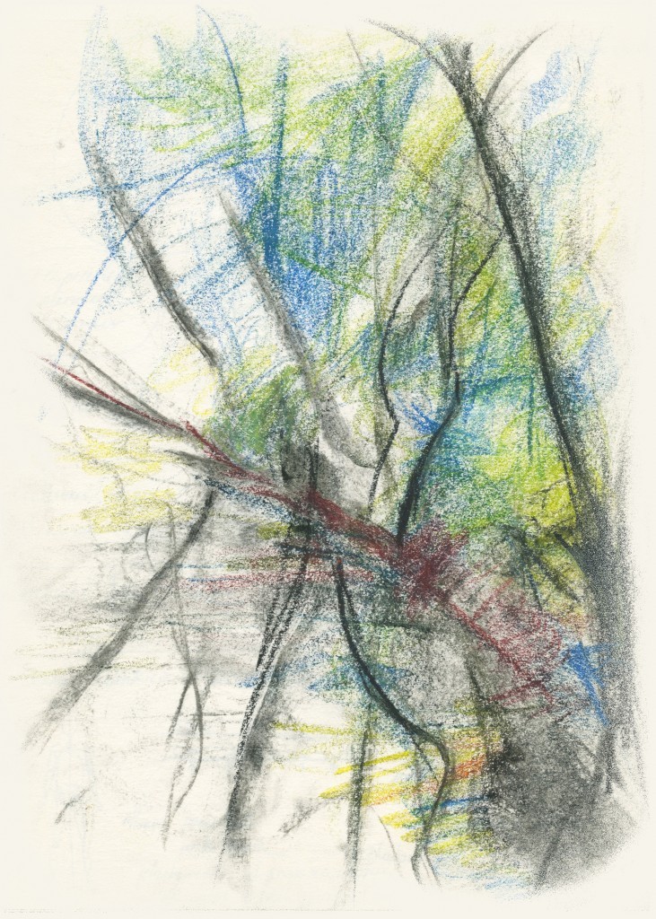 Fond Arbres sur berges 1- Moulin de Chaves, Dordogne printemps 2014